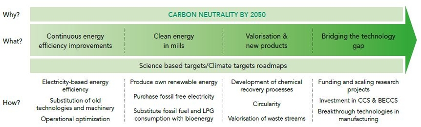 How to reach carbon neutrality by 2050 ?